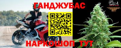 метадон Гай