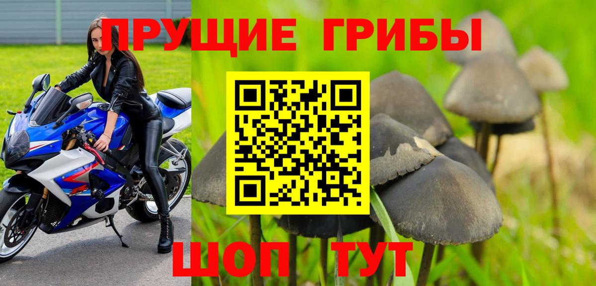 Галлюциногенные грибы MAGIC MUSHROOMS  Вход с VPN  Михайловск  цена   Псилоцибиновые грибы Psilocybe 