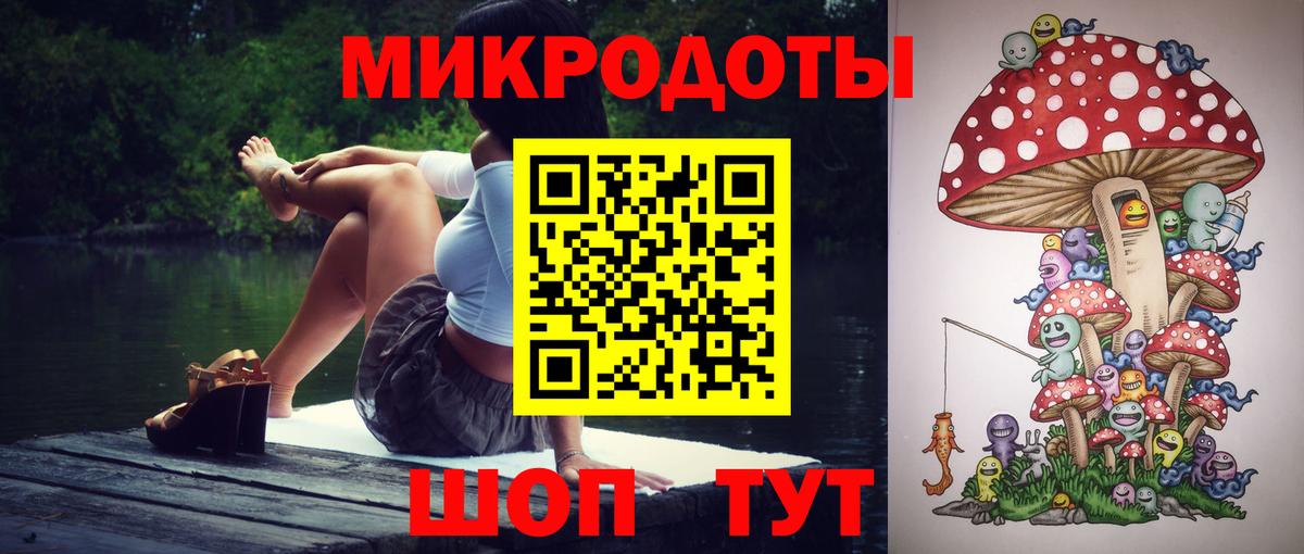 Псилоцибиновые грибы прущие грибы Михайловск